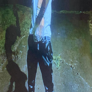 TRYNA WALK DOWN (Explicit)