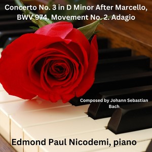 Concerto No. 3 in D Minor After Marcello, BWV 974: II. Adagio