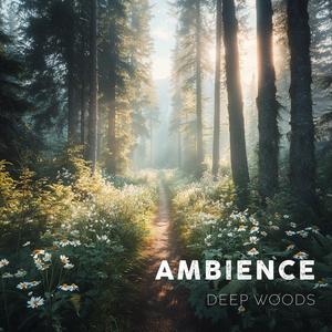 Calming Ambience from Deep Woods