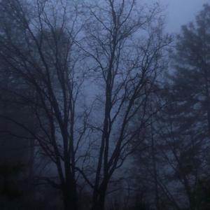 Blue Fog! (Explicit)