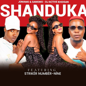 Shanduka