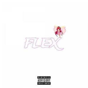 Flex (Explicit)