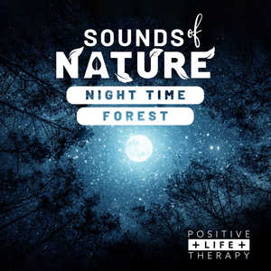 Sounds Of Nature Night Time Forest