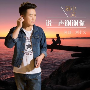 说一声谢谢你 (伴奏)
