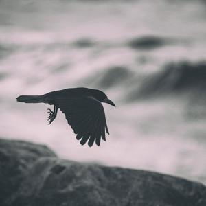 Deyr Fé (feat. Bjarni Guðmundsson & Michael McGlynn)