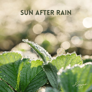 Sun After Rain