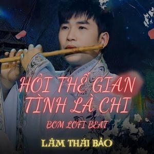 Hỏi Thế Gian Tình Là Chi (Bom Lofi Beat)