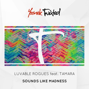 Sounds Like Madness (Original Mix)