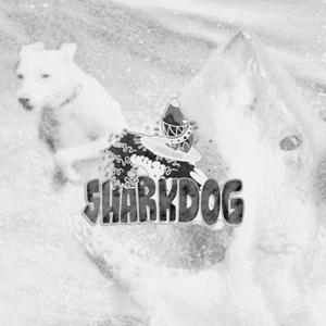 Sharkdog 2023 (feat. Nasty s) (Explicit)