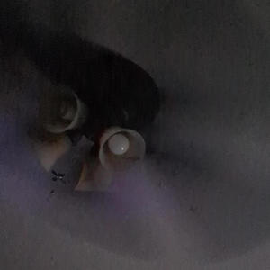 Hopeful End (Explicit)