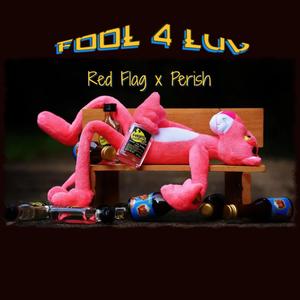 fool 4 luv (feat. Perish) (Explicit)