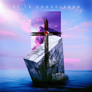 Si Te Conocieran