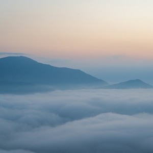 爱情鸟（我爱的人已经飞走了）