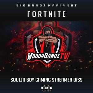 FORTNITE (feat. Ace Trip) (Explicit)