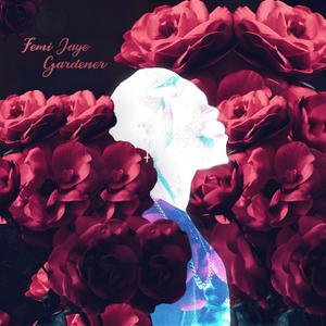 Everyday (feat. Trtl)