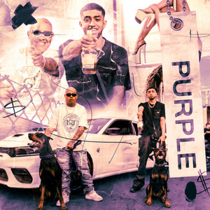 Purple (Explicit)