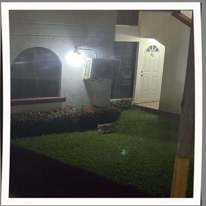 I HAD FORGOTTEN U (feat. Megan Hutchins|Explicit)