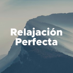 Relajación Perfecta - Una Collección de los Mejores Sonidos de la Naturaleza y Canciones Relajantes