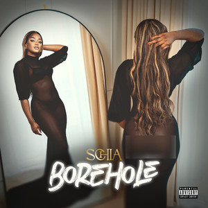 Borehole (Explicit)