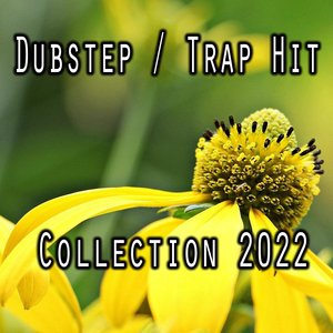 Dubstep / Trap Hit Collection 2022