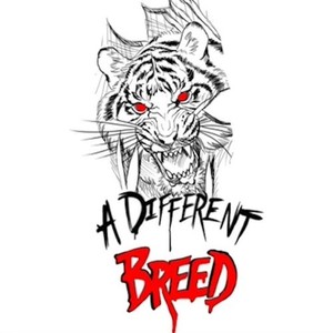 DIFFERENT BR33D (Explicit)