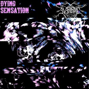 Nothing But Flesh And Bone Left To Rot In The Sunlight (Explicit)
