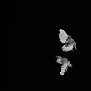 Último Aliento feat. Gustavo Santaolalla