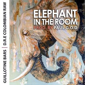 Elephant In The Room (Explicit)