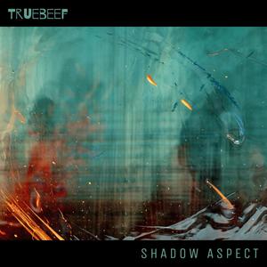 Shadow Aspect