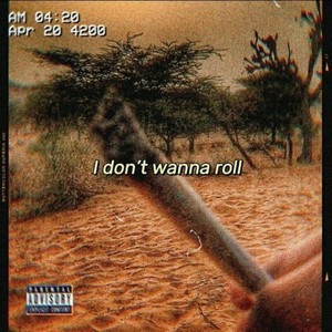 I don't wanna roll