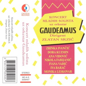 Koncert Za Alt Saksofon I Gudače - Lento Espressivo: Allegro