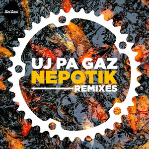 Nepotik (Boy Division Hi NRG Remix)