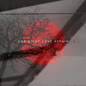 One Night Love Affair