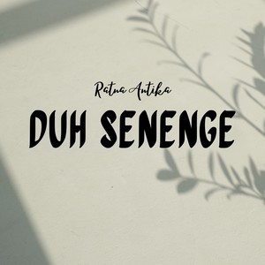 Duh Senenge