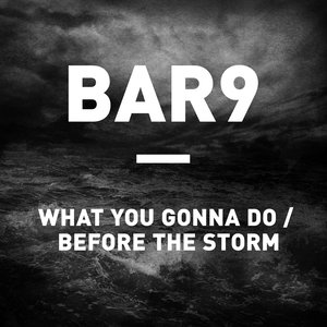 What You Gonna Do / Before The Storm