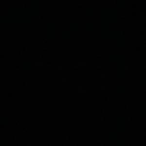 Biscotti Freestyle (Explicit)