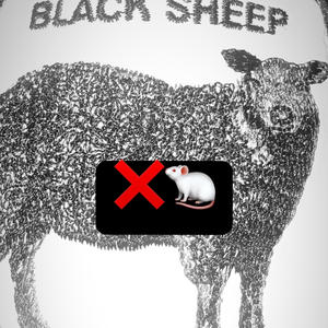 El Plug de tu Plug (Explicit)