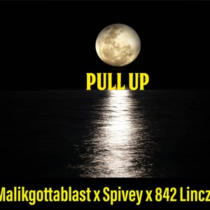 Pull Up (feat. Prodbyspivey & 842 Lincz) [Explicit]