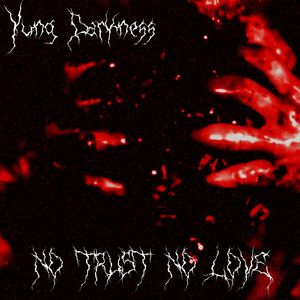 NO TRUST NO LOVE (Explicit)