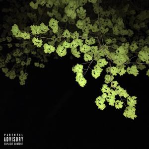 Nevermind (Explicit)