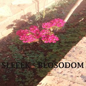 Blosodom