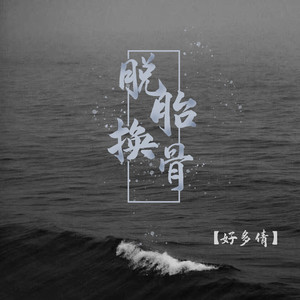 脱胎换骨封面