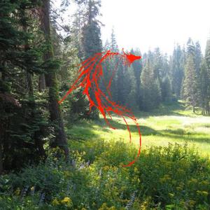 slither in the grass