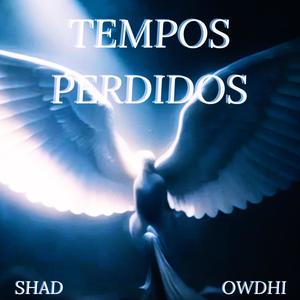 Tempos Perdidos (feat. Owdhi) [Explicit]