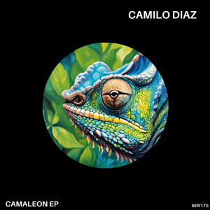 Camilo Díaz - Camaleon (Original Mix)