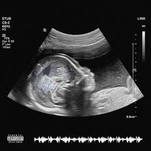 Link (Explicit)