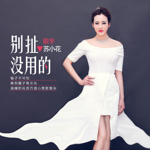 别扯没用的 (DJ何鹏版)封面