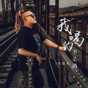 我喝的不是酒 (DJ版)封面