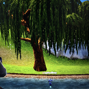 JAKIMACIEPROBLEM (Explicit)