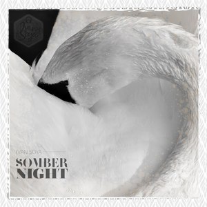 Somber Night (Original Mix)